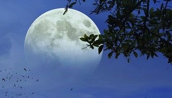 Energie update Rode Maan levenspad 13 - 25 december 2022: Bewust je licht voeden